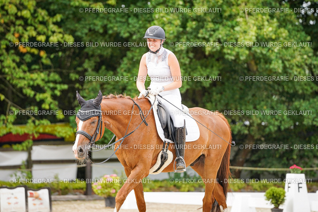 DSC07388 | Pferdegrafie