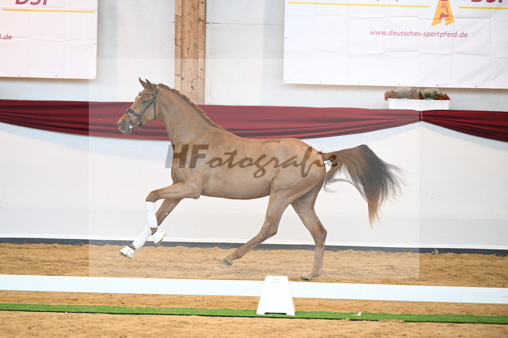 Kat-Nr. 52 v. Vaderland_Galneder_66220770 | hf-fotografie - Realisiert mit Pictrs.com
