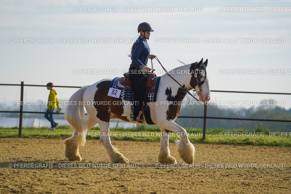 DSC00906 | Pferdegrafie