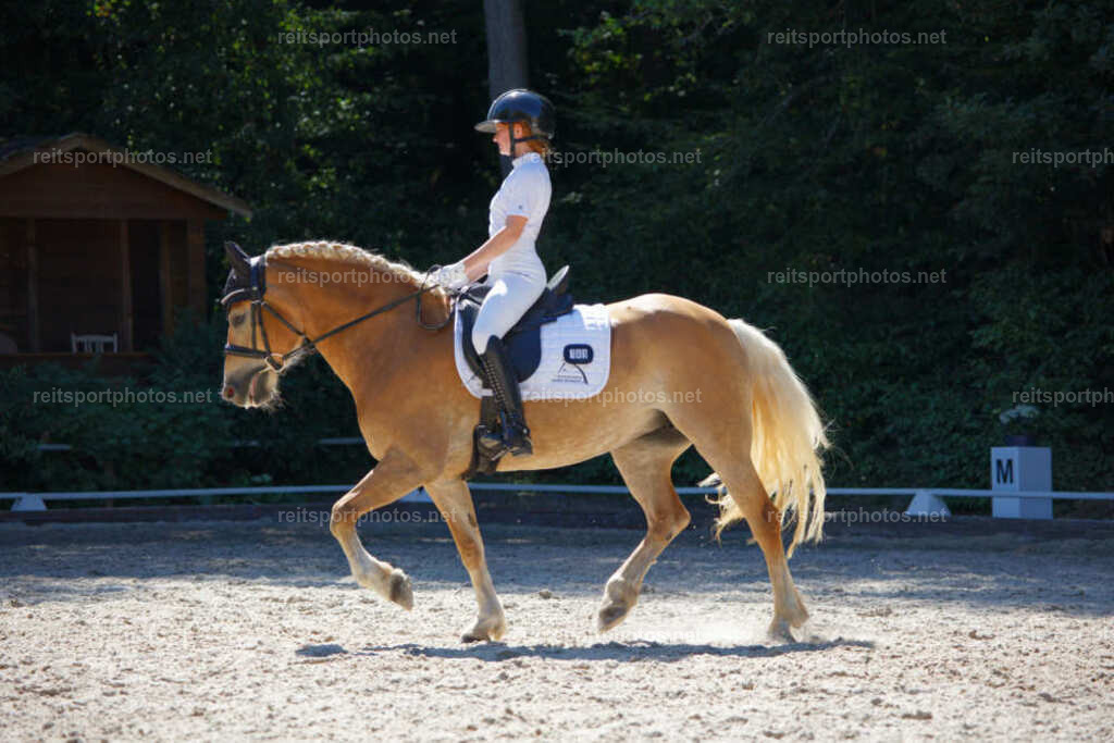 JHE_7646 | JoYa Fotografie - Realisiert mit Pictrs.com