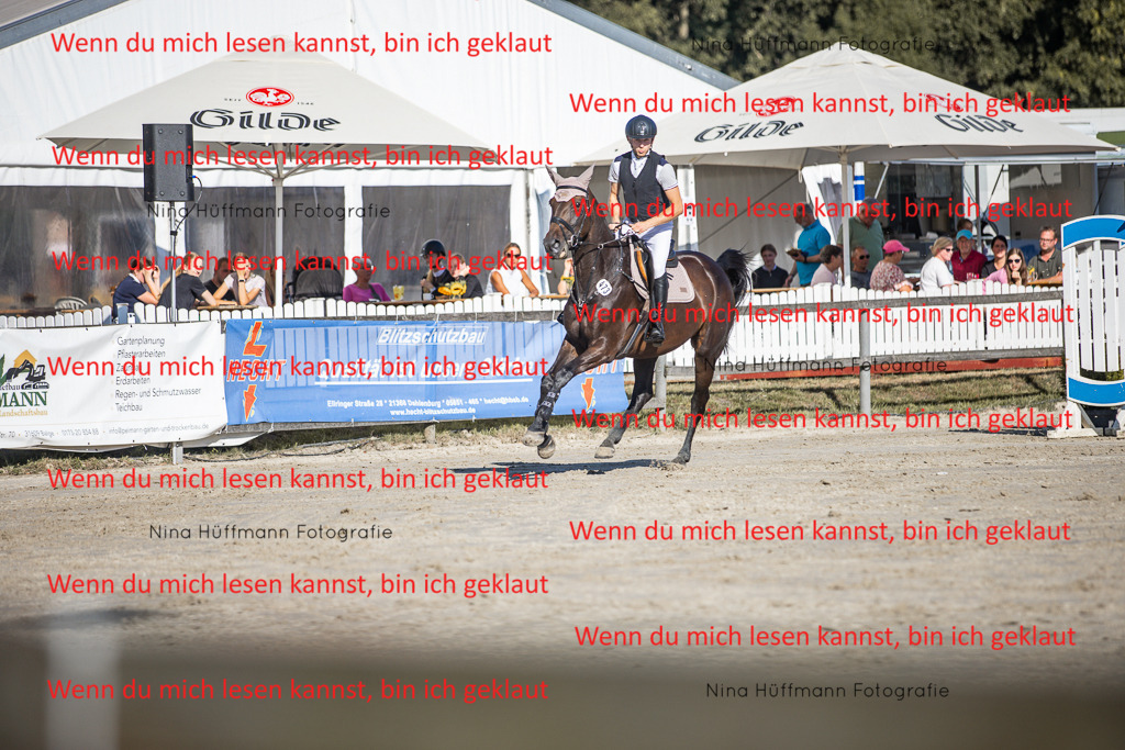 BK1A7477 | Turnierbilder Turnierfotos Nina Hüffmann Turnierfotografie Pferdefotografie Tierzeichnung Haustierzeichnung Pferdezeichnung Hundezeichnung Videograf  - Realisiert mit Pictrs.com