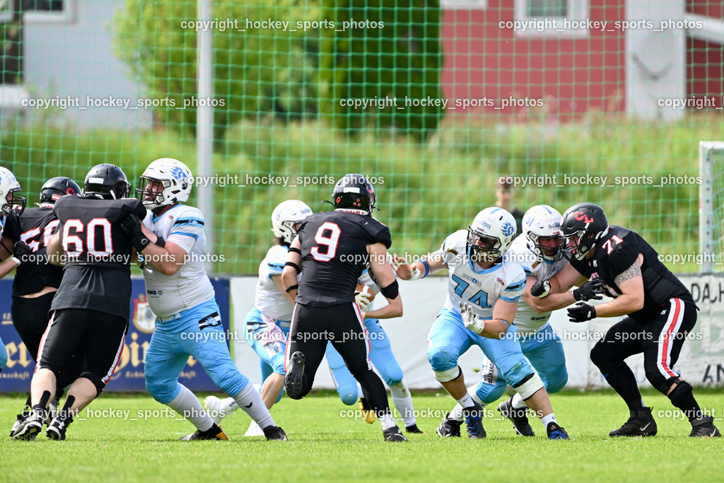 Carinthian Lions vs. Styrian Bears | Carinthian Lions vs. Styrian Bears, Carinthian Lions vs. Styrian Bears am 20.05.2024 in Klagenfurt (ASV Sportplatz), Austria, (Photo by Bernd Stefan)