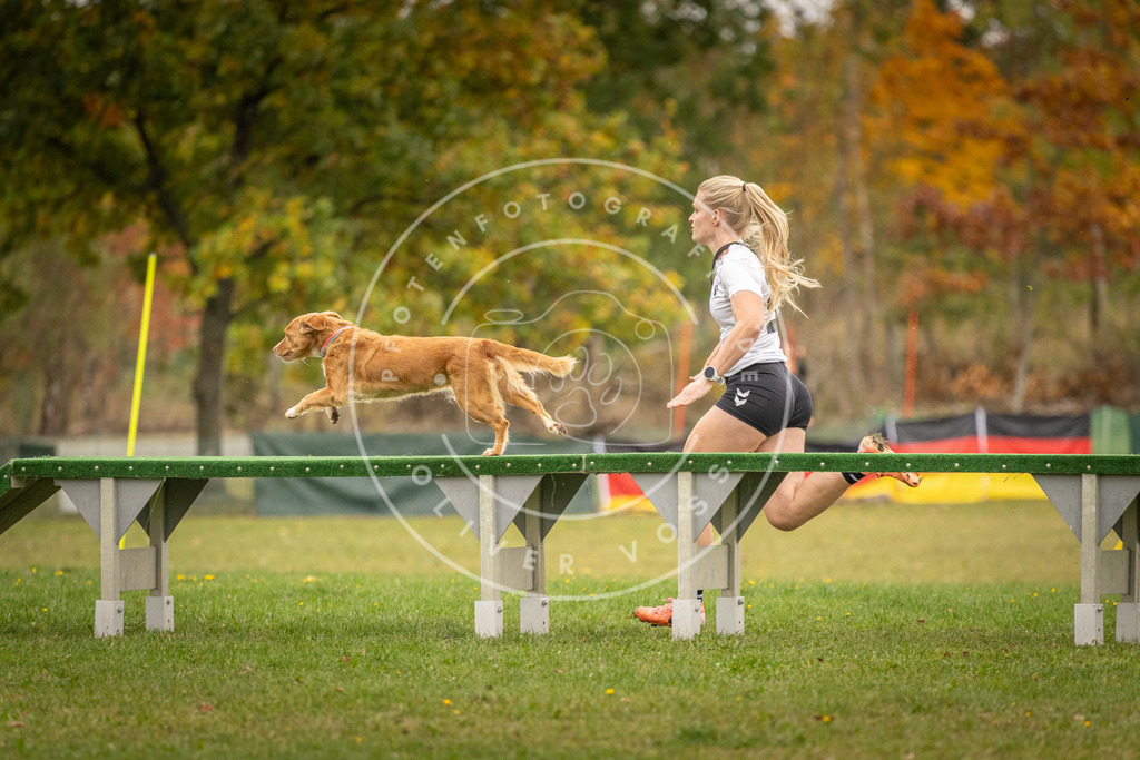 Pfotenfotografie_DV3A7008 | Hundefotografie, Tierfotograf, Pfotenfotografie, Fotoshooting Hund, Hunde Portrait, Hundesport, Hundeportraits, Heideshooting, Hunde, Sportfotograf, Hundefotograf, Turnierhundsport, THS,  - Realisiert mit Pictrs.com