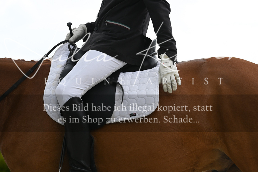 20230512_JK-Röhrsdorf-03-050 | Pferde- und Turnierfotografie in Westsachsen. Pferdeportraits, Auftragszeichnungen und intuitive Kunst.