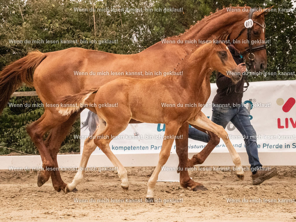 A10I1260 | photographylinaismer - Realisiert mit Pictrs.com