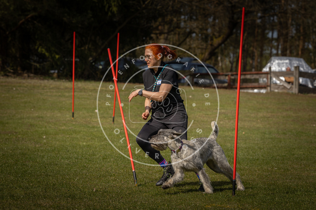 Pfotenfotografie_DV3A4542 | Hundefotografie, Tierfotograf, Pfotenfotografie, Fotoshooting Hund, Hunde Portrait, Hundesport, Hundeportraits, Heideshooting, Hunde, Sportfotograf, Hundefotograf, Turnierhundsport, THS,  - Realisiert mit Pictrs.com