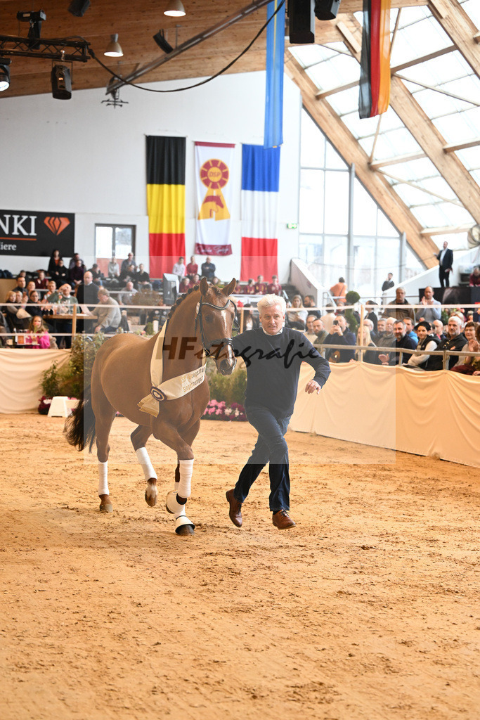 Kat-Nr. 78 Viva Gold_Casper u Eulich_1232371 | hf-fotografie - Realisiert mit Pictrs.com