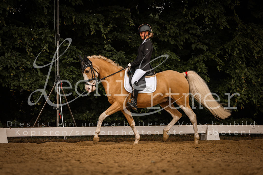 DoDrE00390 | Leoni Ertmer Photography - Realisiert mit Pictrs.com