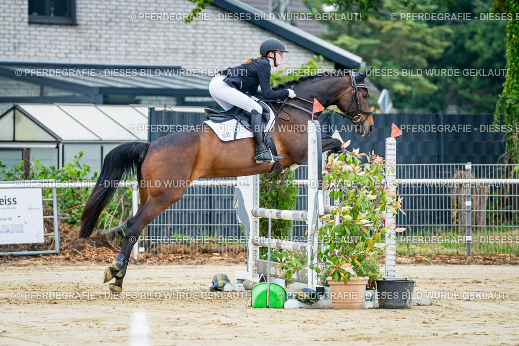 DSC02289 | Pferdegrafie