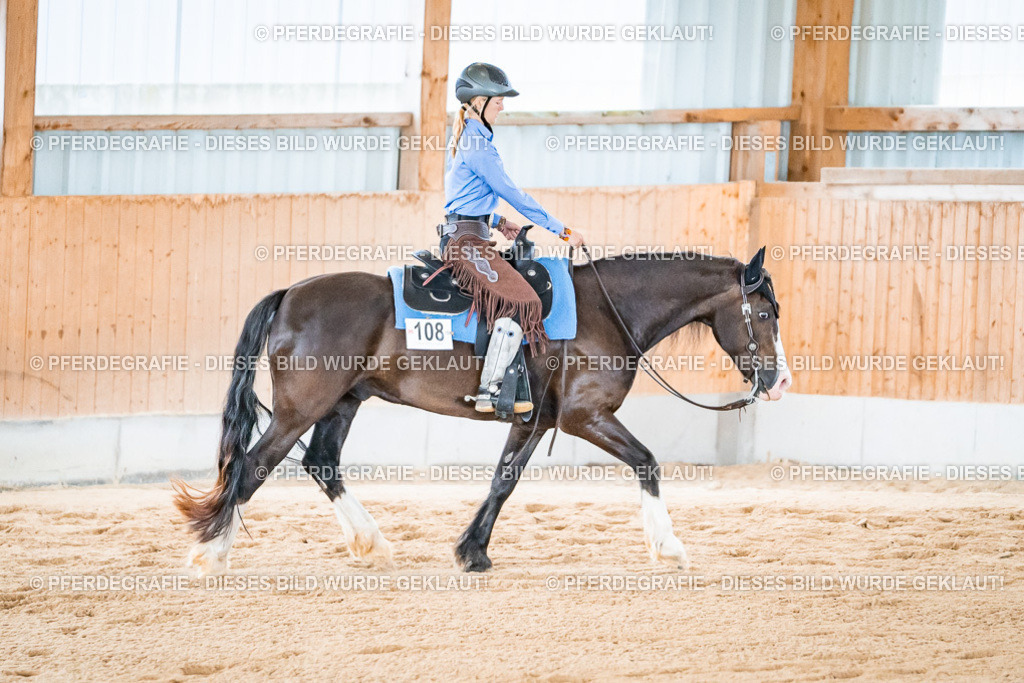 DSC09725 | Pferdegrafie