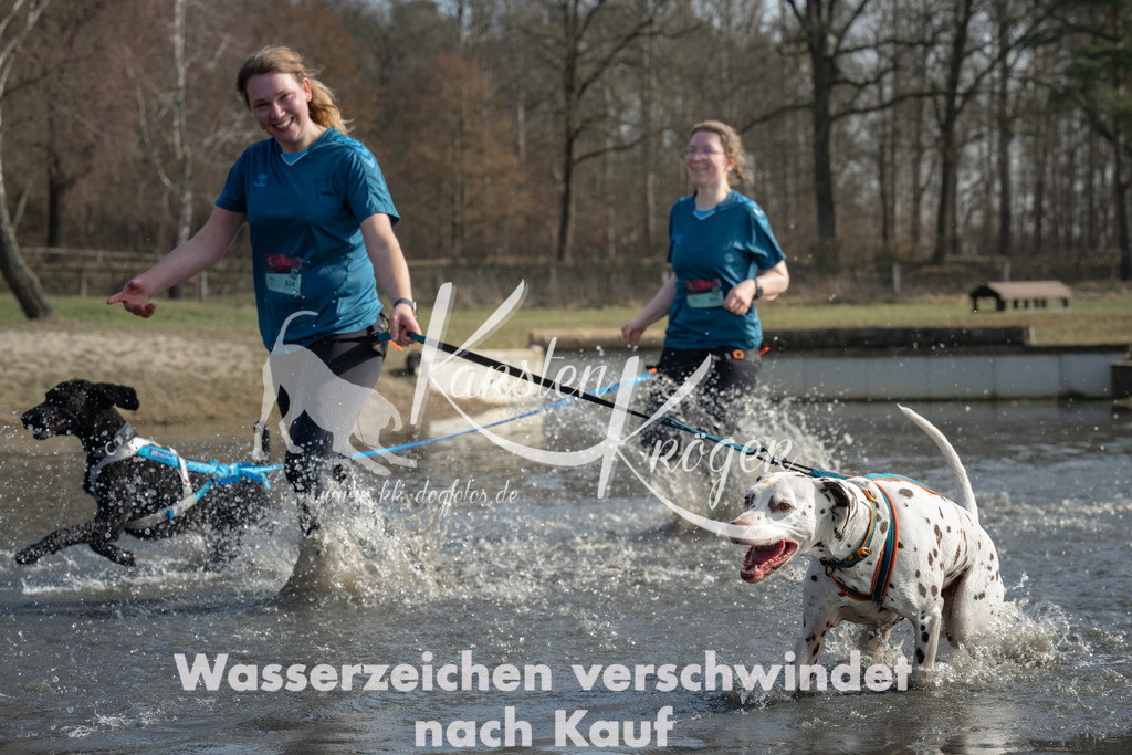 1243_ZZ91734 | kk-dogfotos