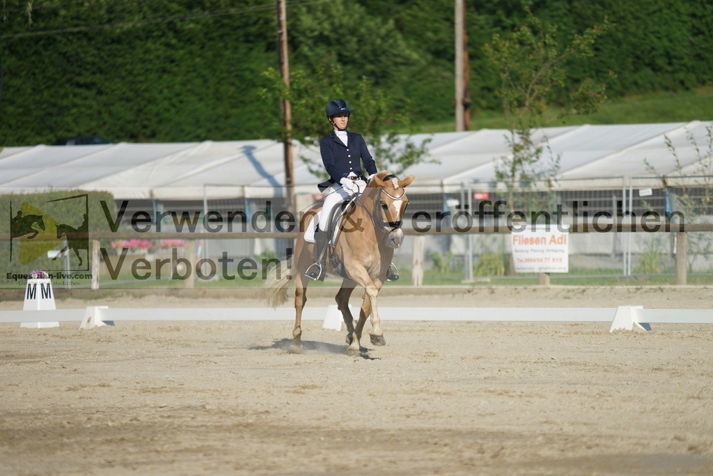 DSC02655 | equestrian-live-com