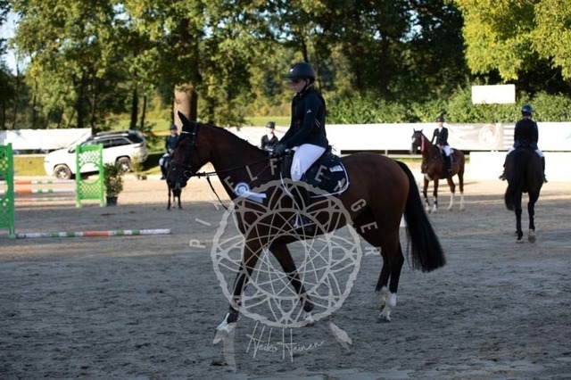 2B4A4018 | pixelfaenger - Realisiert mit Pictrs.com