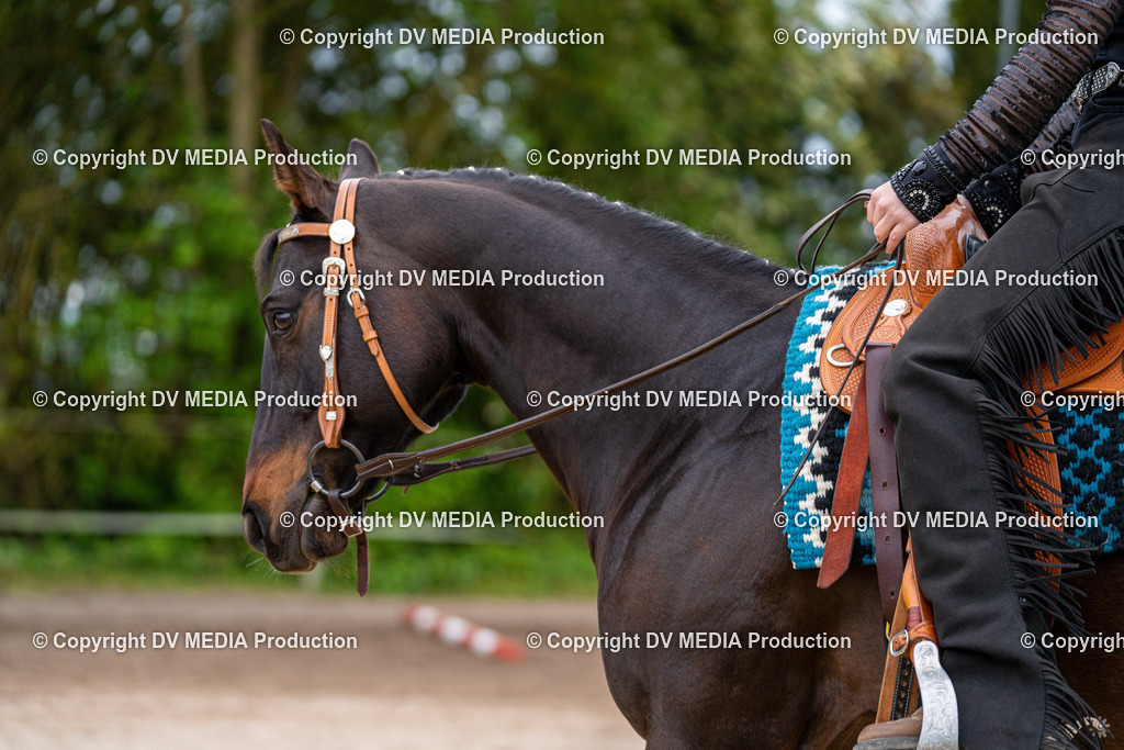 Balingen Tag 2-67 | dv-media-shop - Realisiert mit Pictrs.com