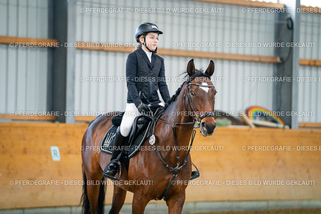 DSC00636 | Pferdegrafie