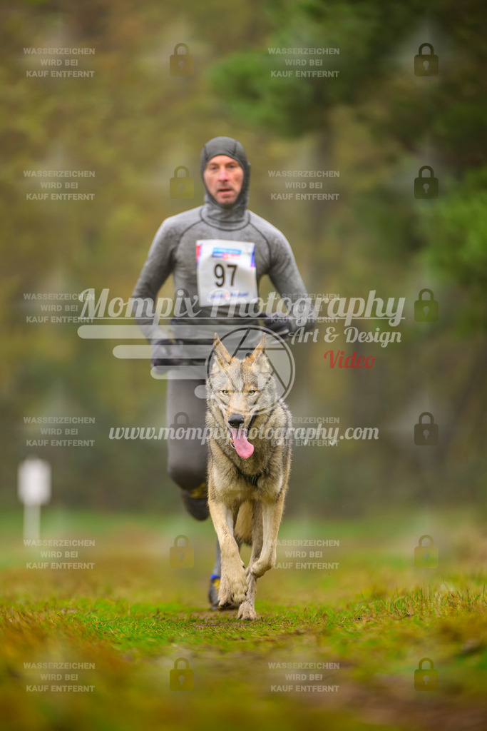 MompixPhotography_Bischwiller2025_Canicross-154 | mompixphotography