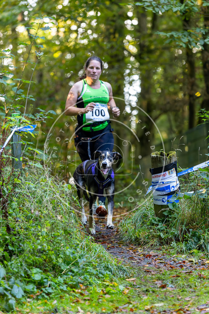 Pfotenfotografie_DV3A7884 | Hundefotografie, Tierfotograf, Pfotenfotografie, Fotoshooting Hund, Hunde Portrait, Hundesport, Hundeportraits, Heideshooting, Hunde, Sportfotograf, Hundefotograf, Turnierhundsport, THS,  - Realisiert mit Pictrs.com