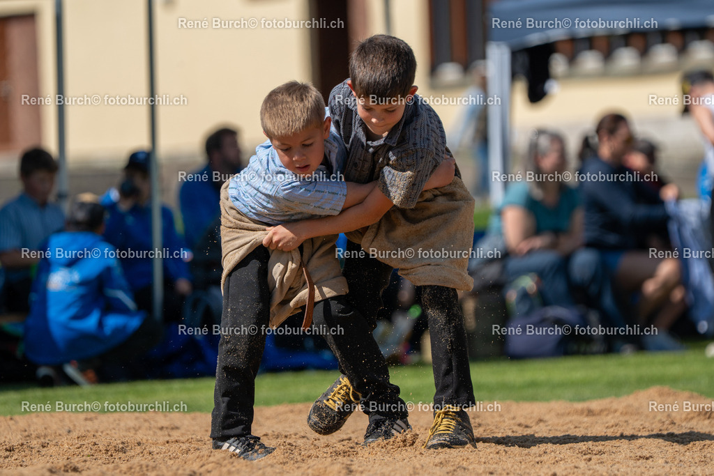 RB_07625 | René Burch leidenschaftlicher Fotograf aus Kerns in Obwalden.  Hier finden sie Sport, Landschaft und Natur Fotografie.
 - Realisiert mit Pictrs.com