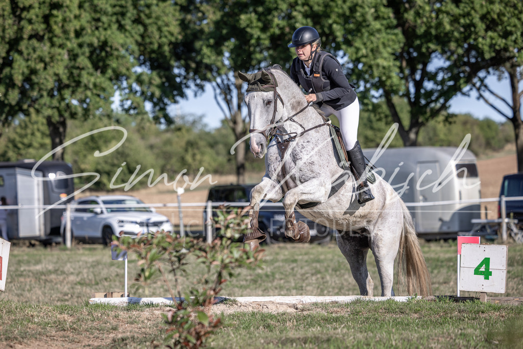 20260906-_3LI1579 | Tierfotografie Pferde, Hunde, Katzen, Haustiere.
Turnierfotografie Reitturniere, Reiten, Springreiten, Dressur in Hanau, dem Main-Kinzig-Kreis und dem Rhein-Main- Gebiet um Frankfurt