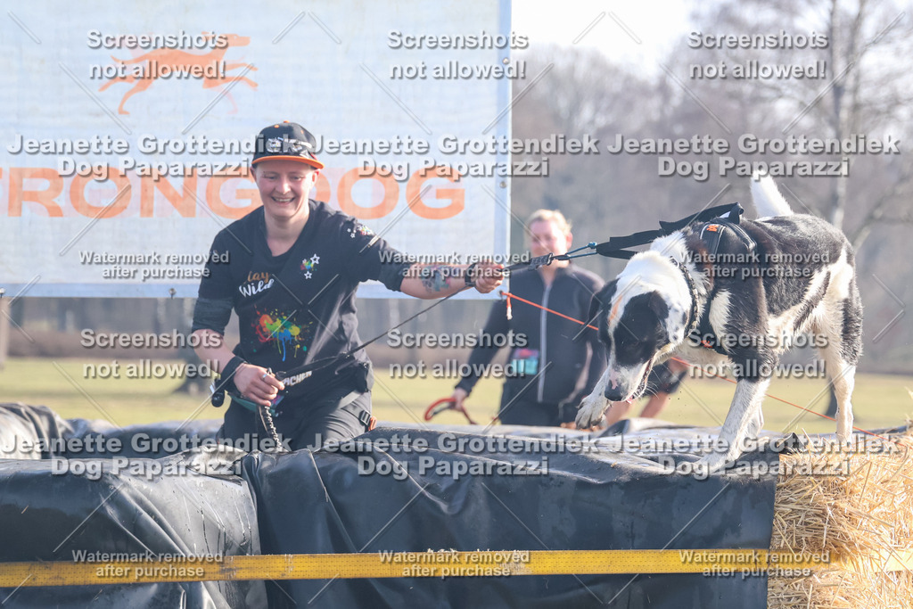 Dog Paparazzi - Strongdog North Mrz26-495 | Dog Paparazzi Jeanette Grottendiek Fotografie & Videografie - Realisiert mit Pictrs.com