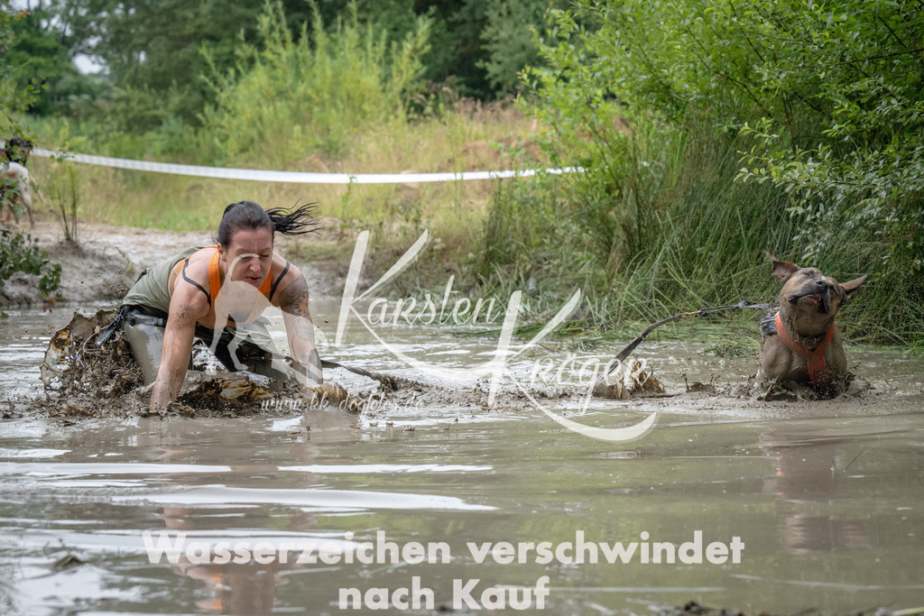 1339_ZZ91453 | kk-dogfotos