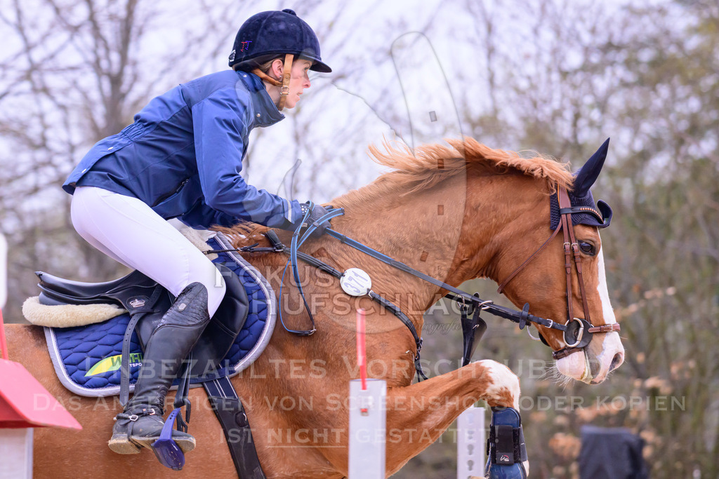 10042026-Mammendorf-Prfg19-0137 | Fokus Hufschlag Fotografie - Realisiert mit Pictrs.com