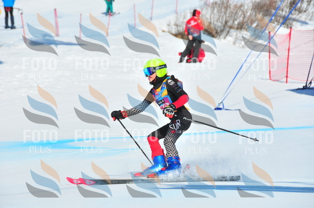 DSC_4674 | holidayphoto