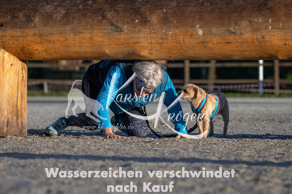 0909-92796 | kk-dogfotos