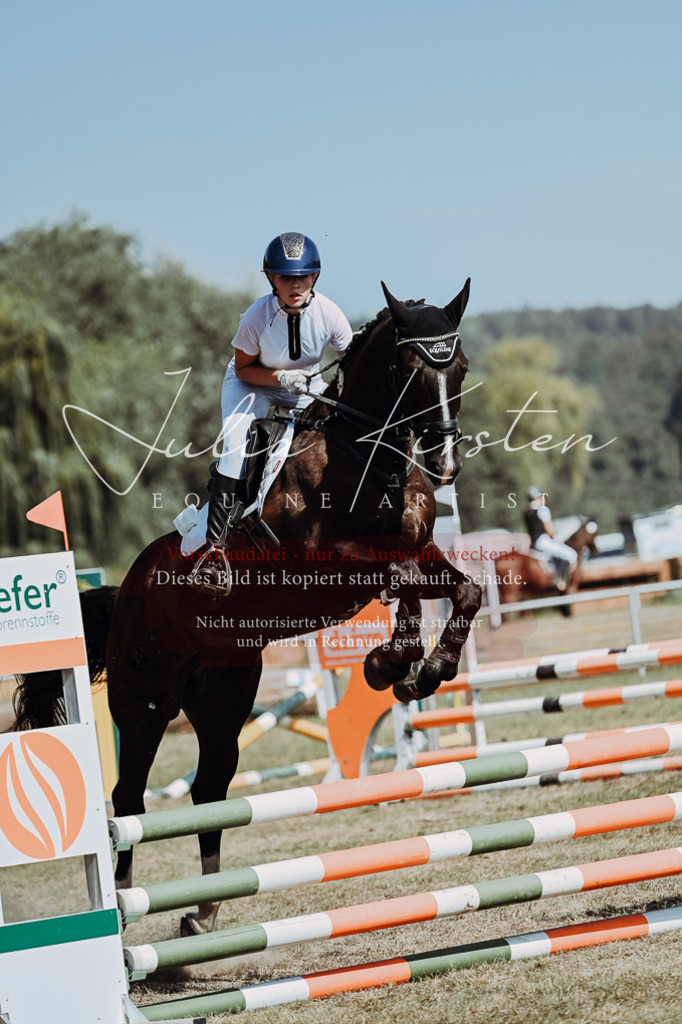 DSC_0047 | Pferde- und Turnierfotografie in Westsachsen. Pferdeportraits, Auftragszeichnungen und intuitive Kunst.