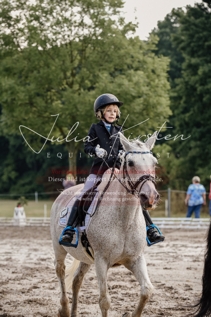 DSC_8321 | Pferde- und Turnierfotografie in Westsachsen. Pferdeportraits, Auftragszeichnungen und intuitive Kunst.