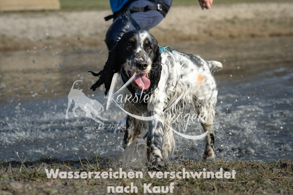 1326_ZZ96325 | kk-dogfotos