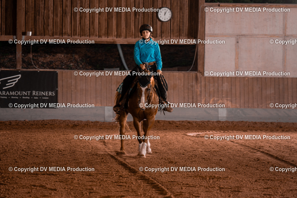 NE201532 | dv-media-shop - Realisiert mit Pictrs.com