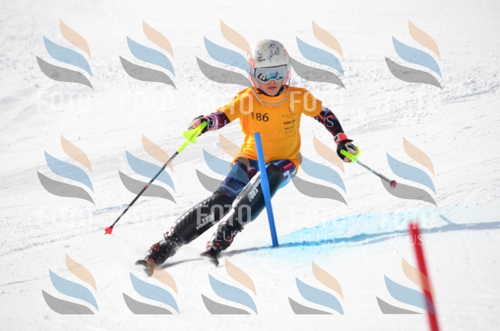 C8031 | holidayphoto