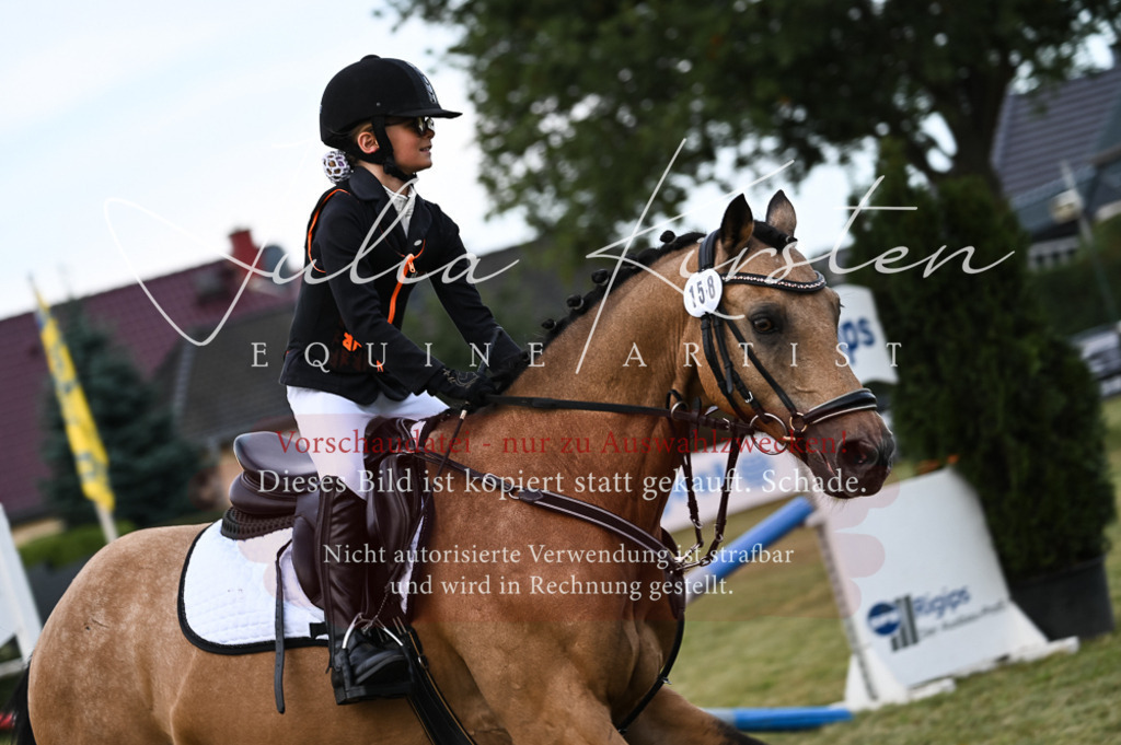 DSC_5630 | Pferde- und Turnierfotografie in Westsachsen. Pferdeportraits, Auftragszeichnungen und intuitive Kunst.