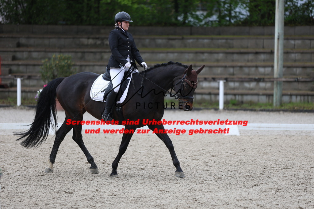 A40A8547 | lmwpictures - Realisiert mit Pictrs.com