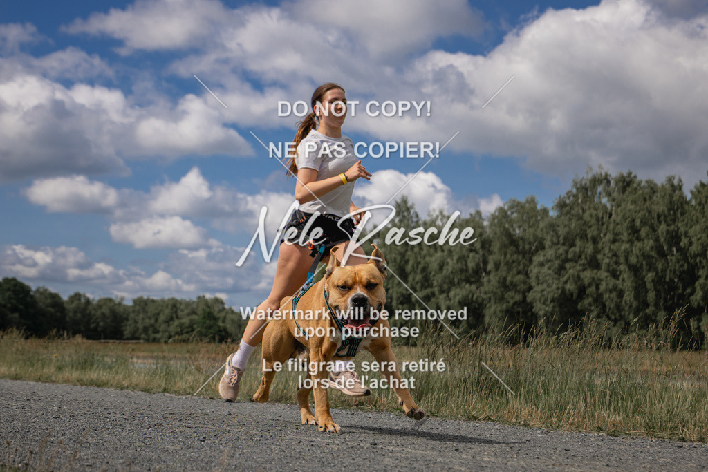 nelerasche_BuHu2026_SaCC1100-1200_18 | nelerasche