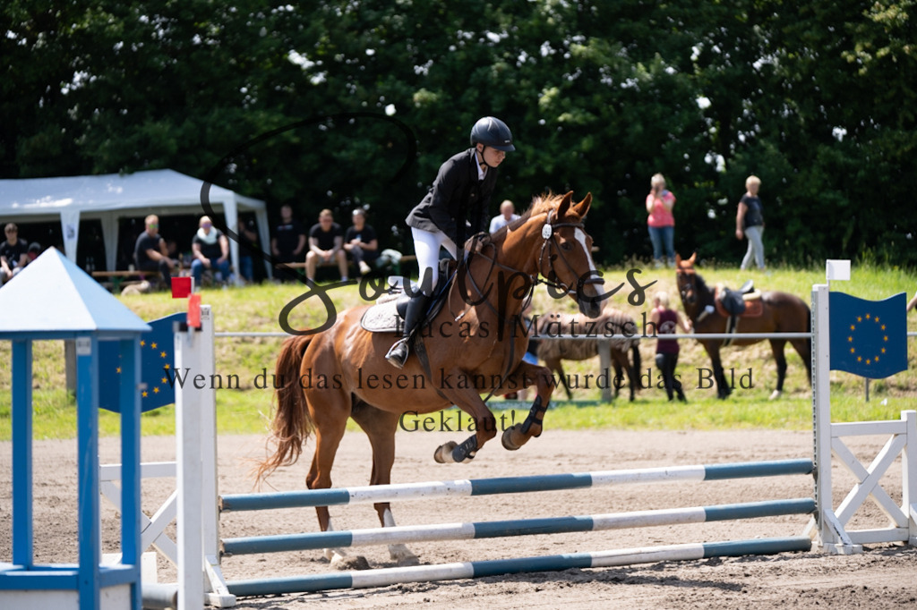 A7V04431 | Pferdefotograf