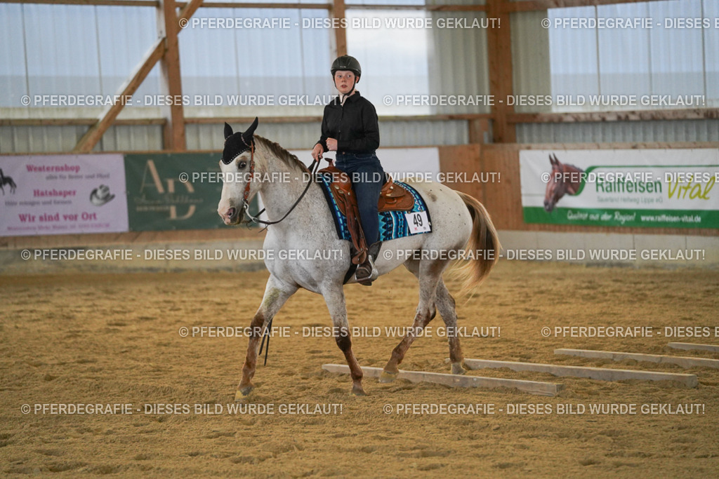 DSC09086 | Pferdegrafie