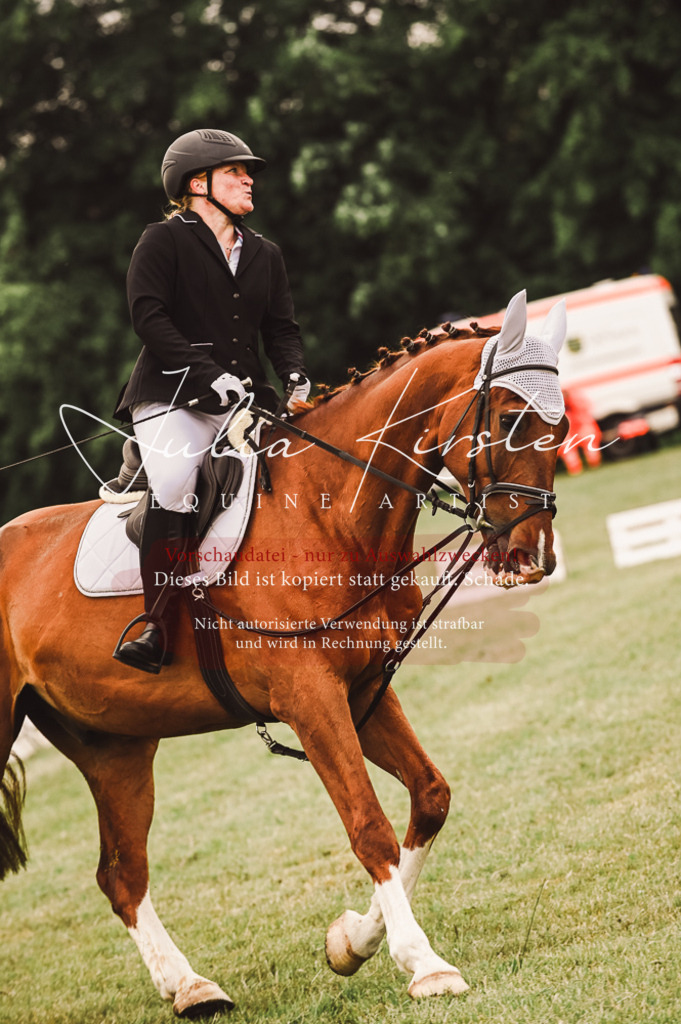 DSC_5103 | Pferde- und Turnierfotografie in Westsachsen. Pferdeportraits, Auftragszeichnungen und intuitive Kunst.