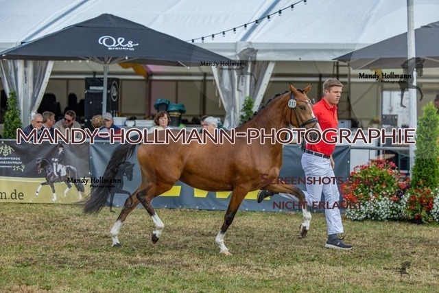 26-8-22 DR I-67 | mandyhollmannphotographie