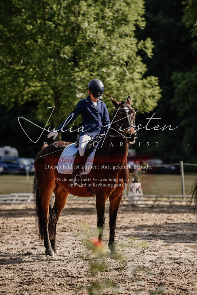 DSC_9108 | Pferde- und Turnierfotografie in Westsachsen. Pferdeportraits, Auftragszeichnungen und intuitive Kunst.