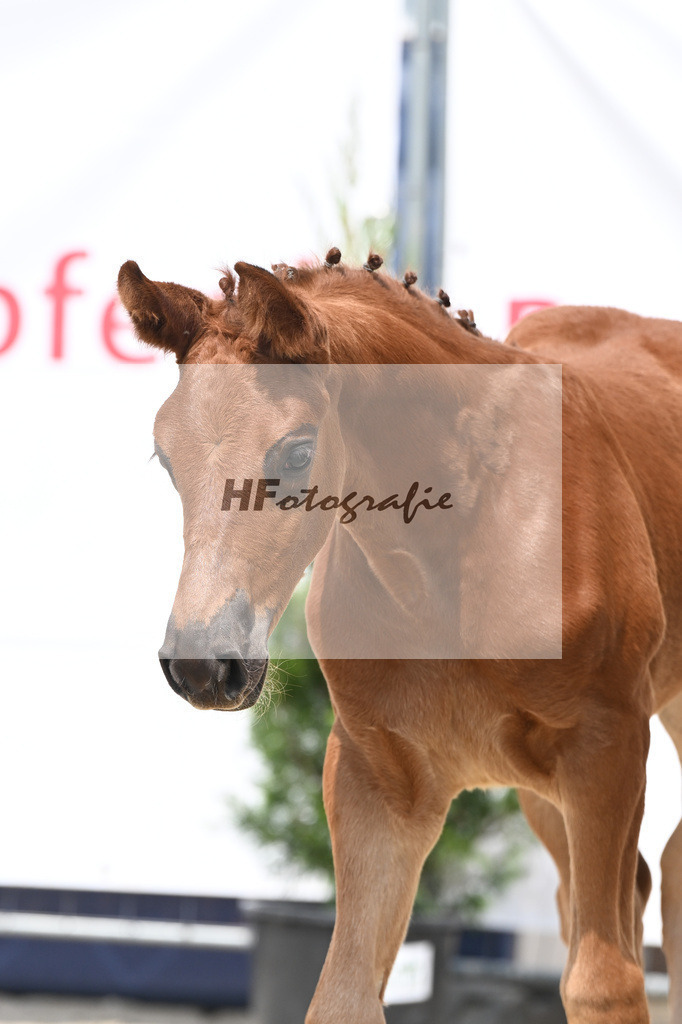 Vjento x Follow Me_SF_Wiedemann u Schmiech_12250536 | hf-fotografie - Realisiert mit Pictrs.com