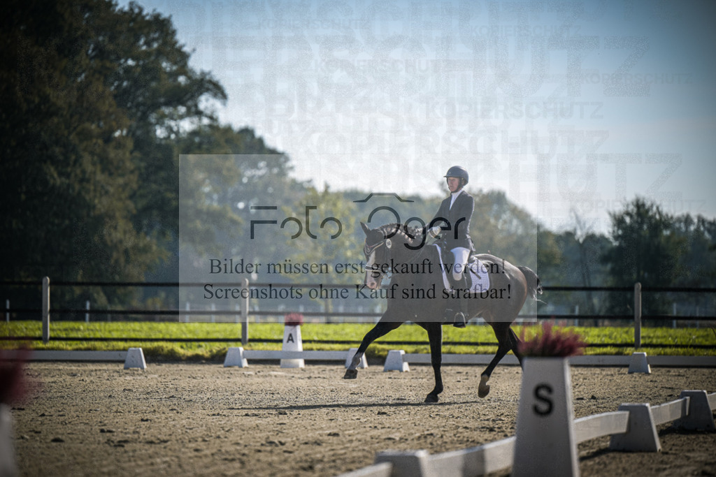DOS_0496 | Entdecke hochwertige Reitturnierfotos von Foto Oger. Professionell, emotional und authentisch – jetzt Lieblingsmomente im Shop bestellen.Deutschlandweite Turnierfotografie. - Realisiert mit Pictrs.com