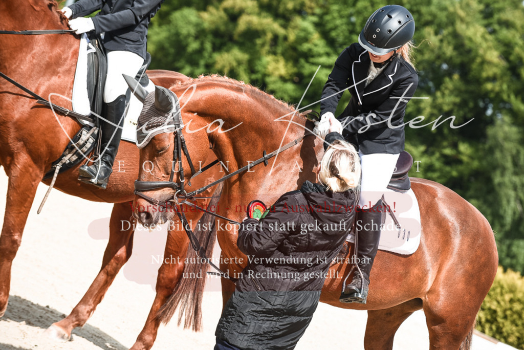 20230518_JK-Röhrsdorf-11-1015 | Pferde- und Turnierfotografie in Westsachsen. Pferdeportraits, Auftragszeichnungen und intuitive Kunst.