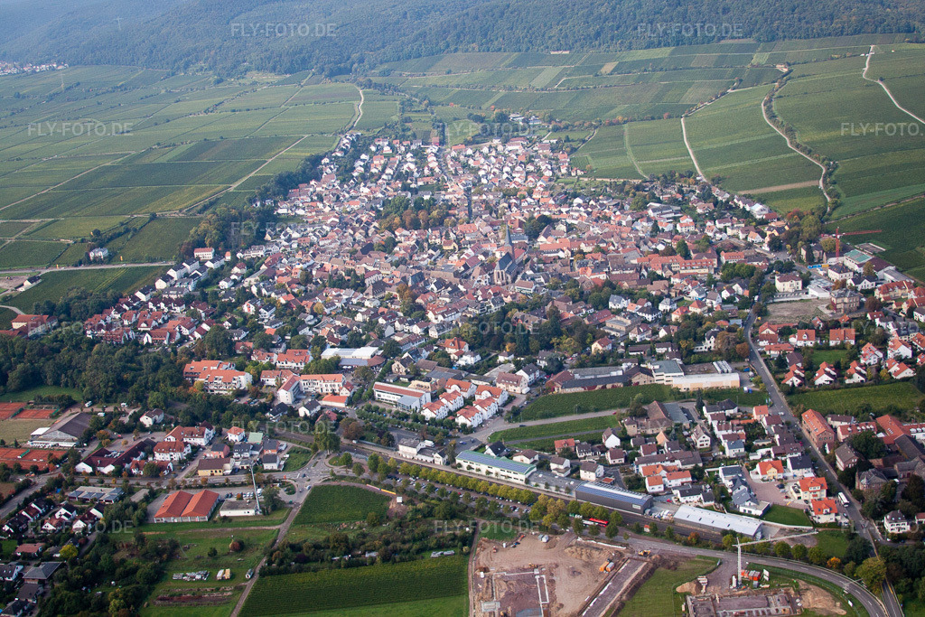 Luftbild: Ortsansicht der Straßen und Häuser der Wohngebiete in Deidesheim im Bundesland Rheinland-Pfalz in Deutschland. Foto: IMG_34277.jpg vom 03.10.2010 durch Werner Riehm/FLY-FOTO.de