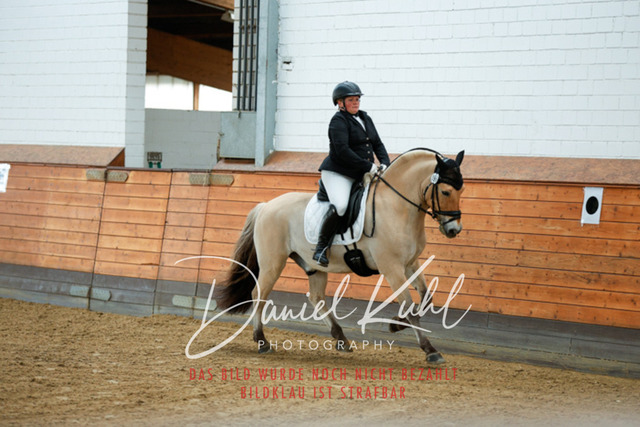 _62_6539 | Turniersportfotografie; Pferdefotografie; Dressurfotografie