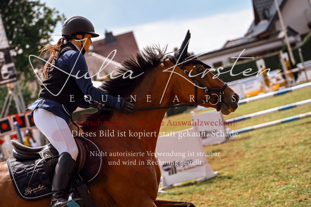 DSC_7536 | Pferde- und Turnierfotografie in Westsachsen. Pferdeportraits, Auftragszeichnungen und intuitive Kunst.