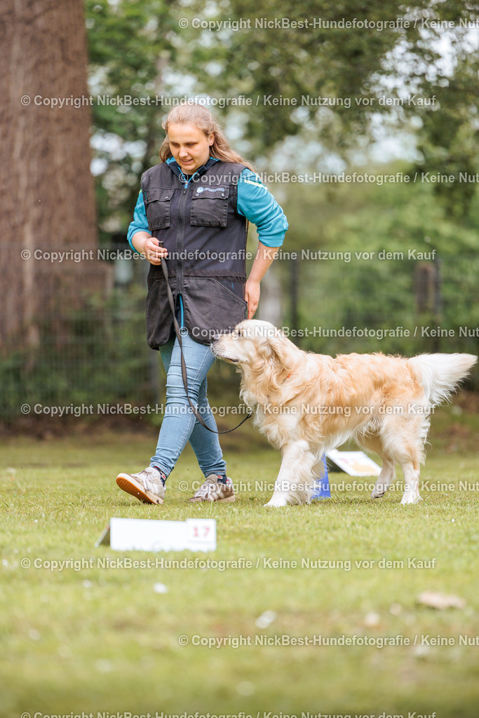 RO-Blumenthal-2026-Nickbest-Hundefotografie-3074 | Dein Hund! Dein Moment! Deine Erinnerungen! Hundefotografie in Bremen Blumenthal. Ich fange die besonderen Momente deines Vierbeiners ein – ob Indoor mit Blitzanlage oder in der freien Natur. Sicher dir dein Moment und dein Termin für eure Erinnerungen.