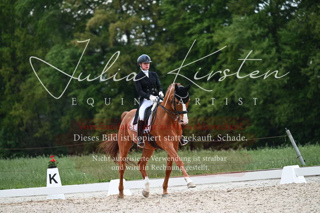 20230513_JK-Röhrsdorf-13-548 | Pferde- und Turnierfotografie in Westsachsen. Pferdeportraits, Auftragszeichnungen und intuitive Kunst.