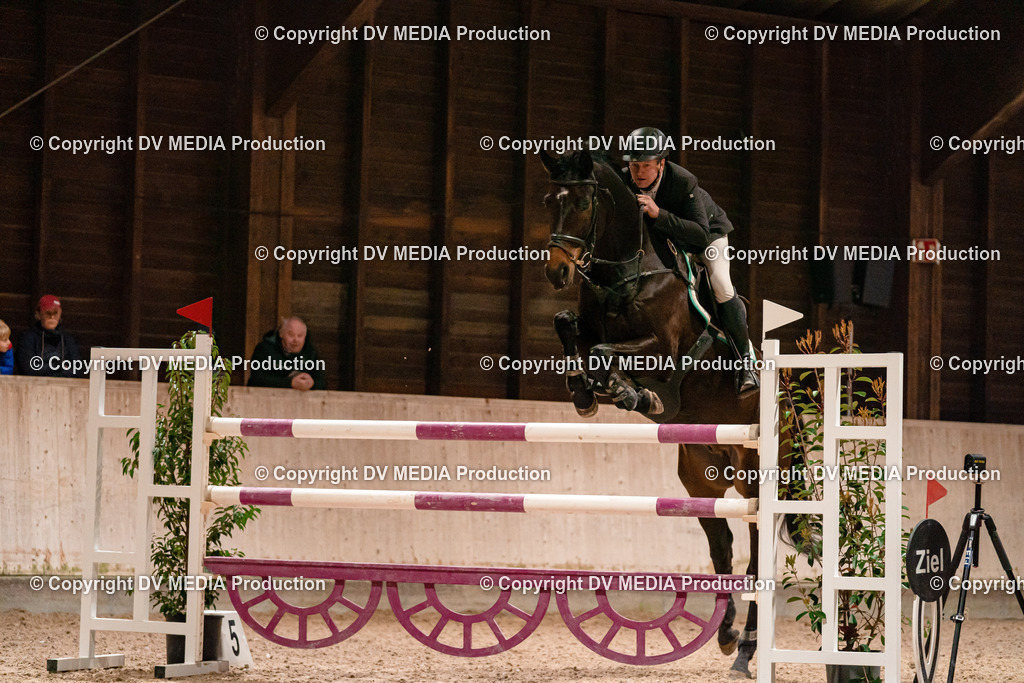 Springen Tag 2-939 | dv-media-shop - Realisiert mit Pictrs.com